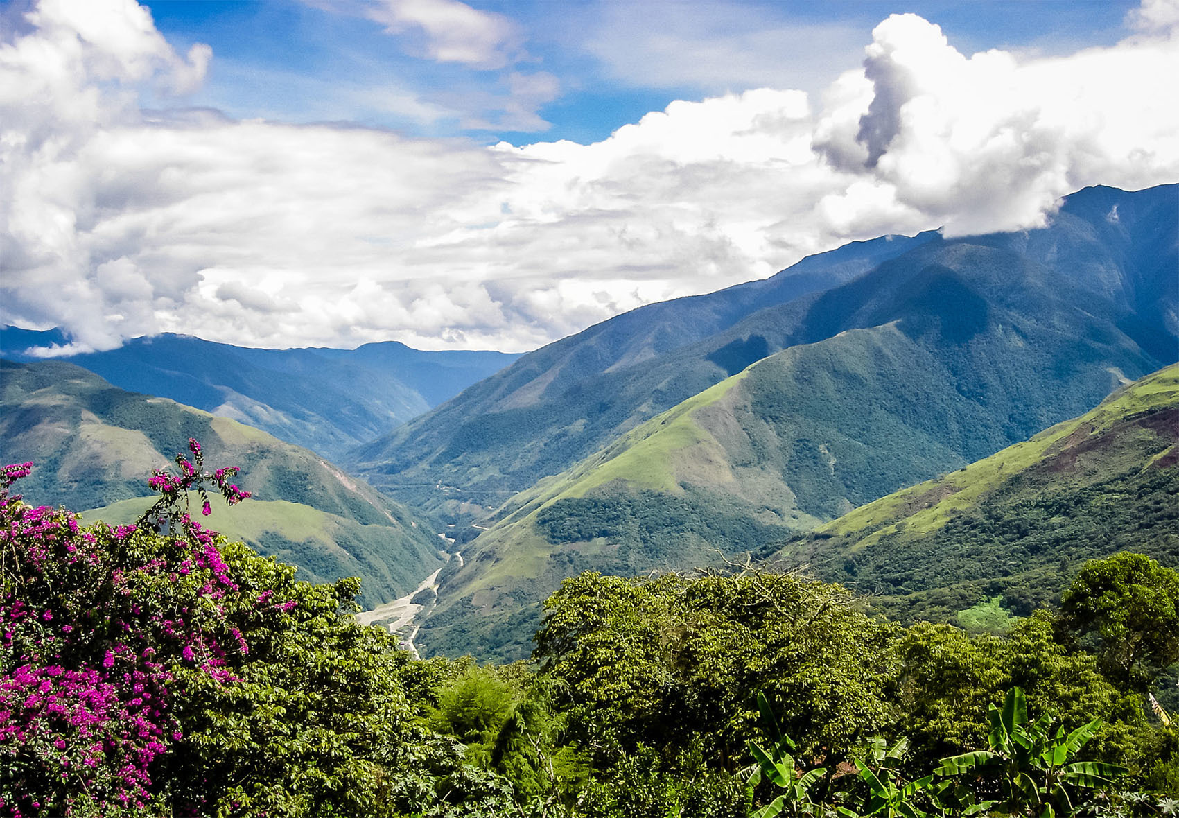 Животные Боливии