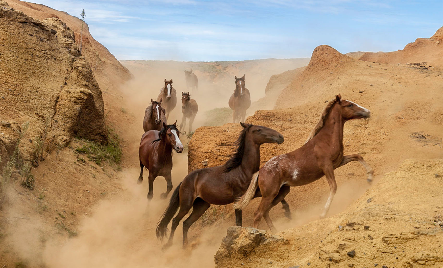 Пуп Земли — Остров Пасхи
