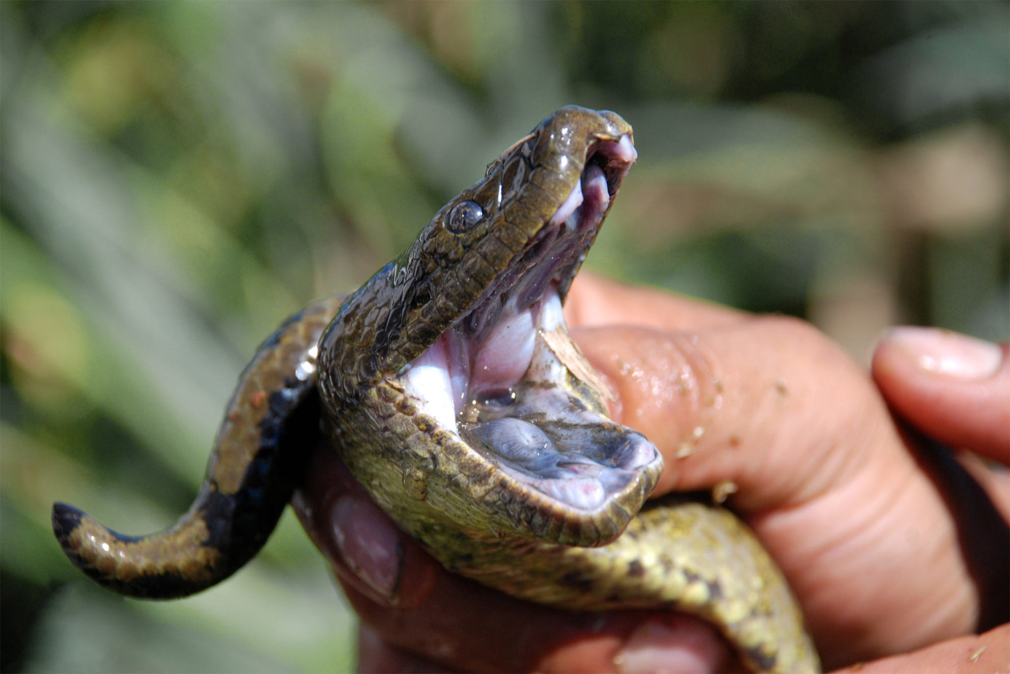 10 советов для путешествия по Боливии