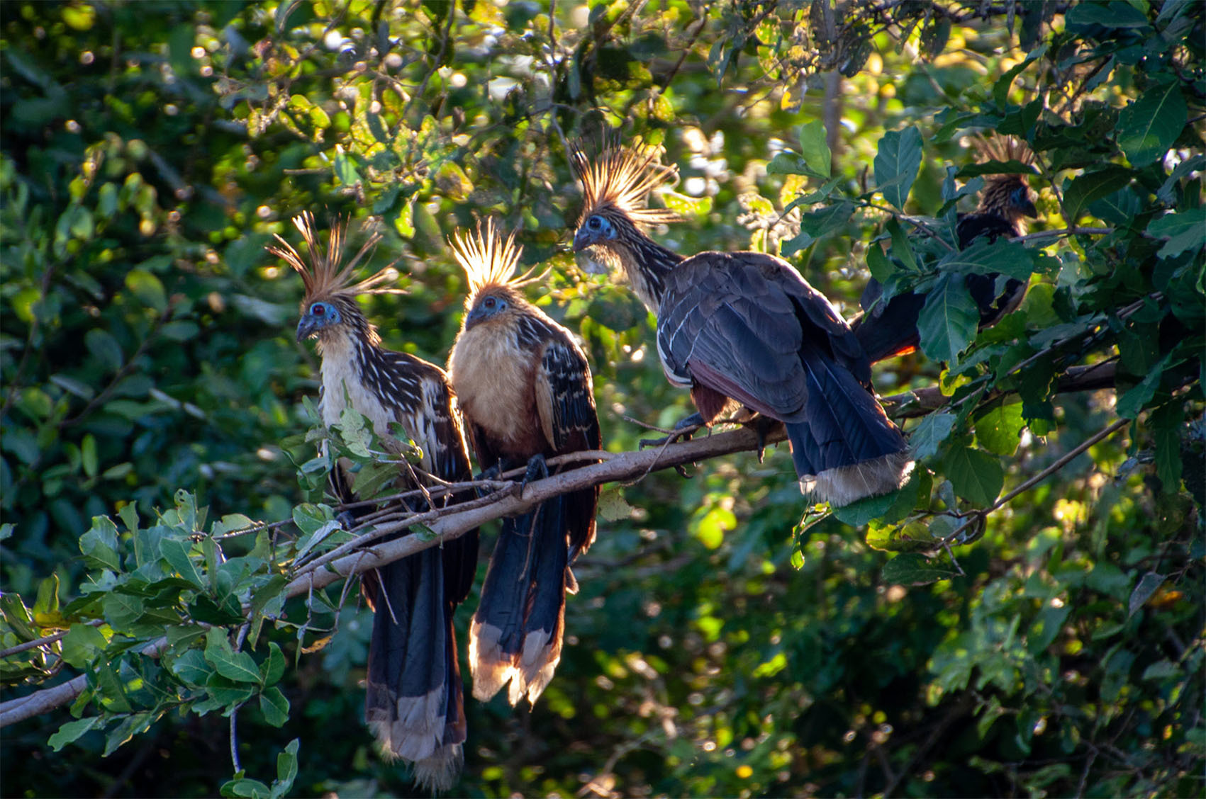 10 советов для путешествия по Боливии