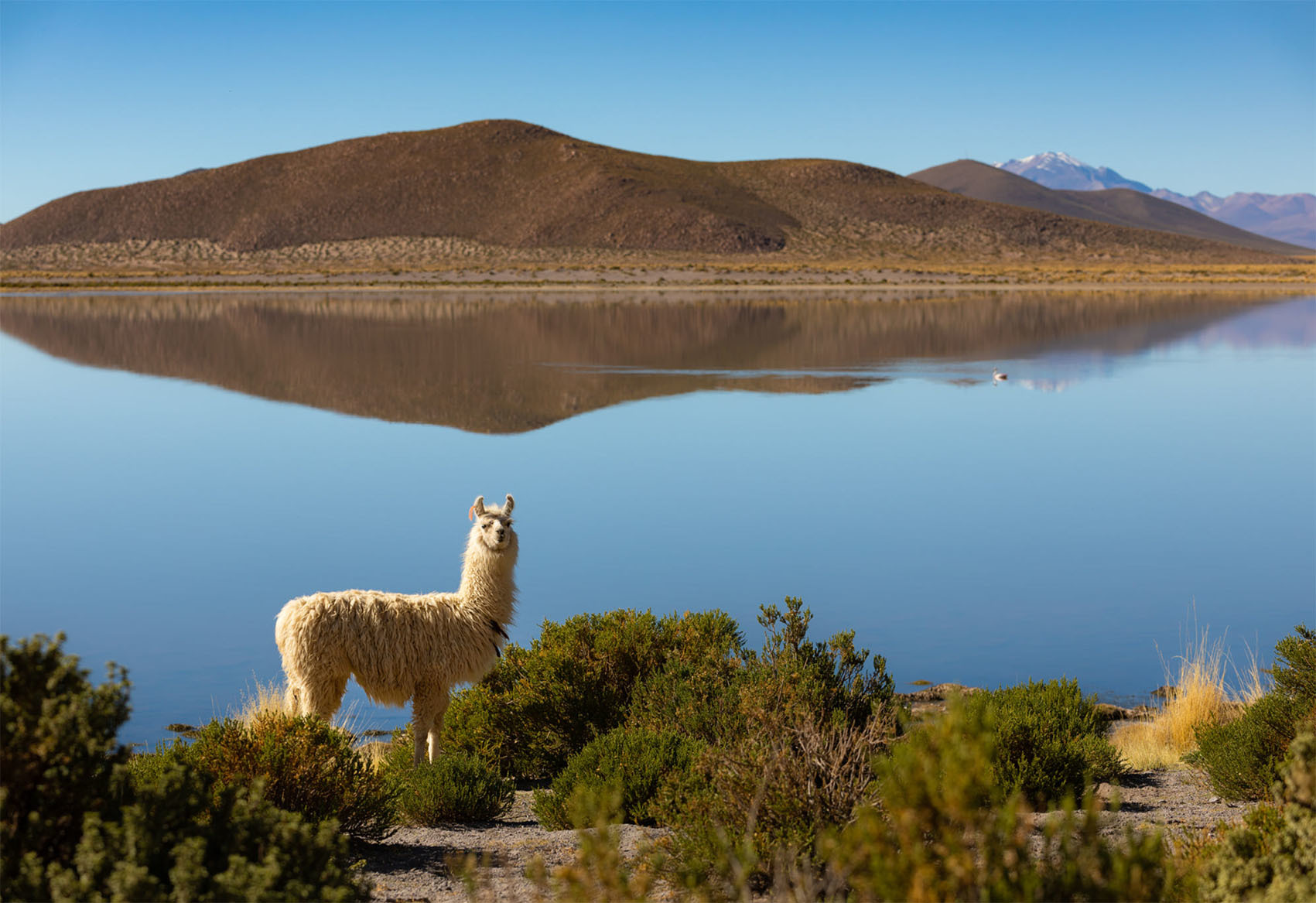 10 советов для путешествия по Боливии