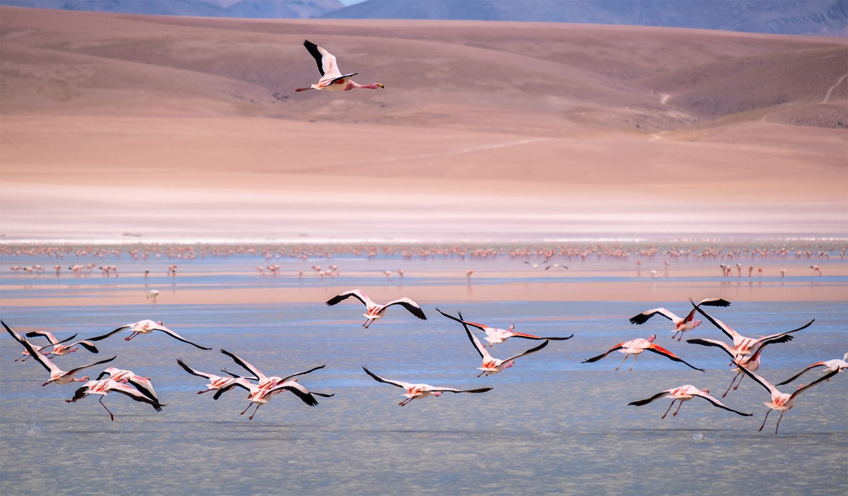 10 советов для путешествия по Боливии