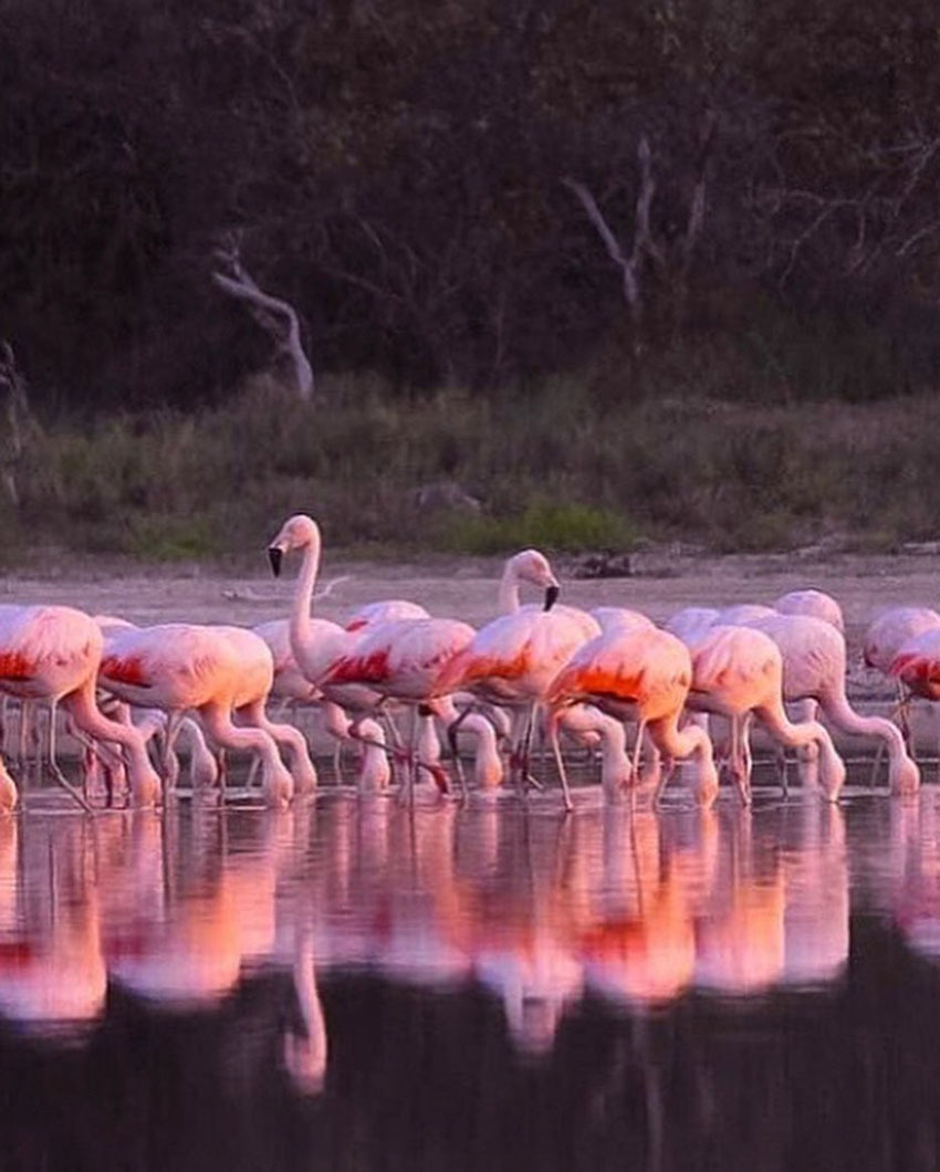 Достопримечательности Парагвая, 10 самых интересных мест