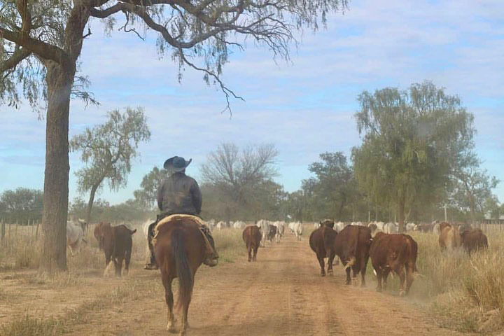 Достопримечательности Парагвая, 10 самых интересных мест