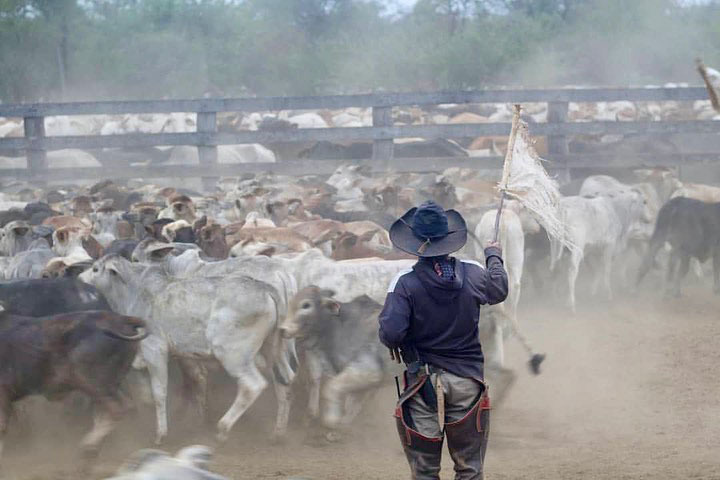 Достопримечательности Парагвая, 10 самых интересных мест