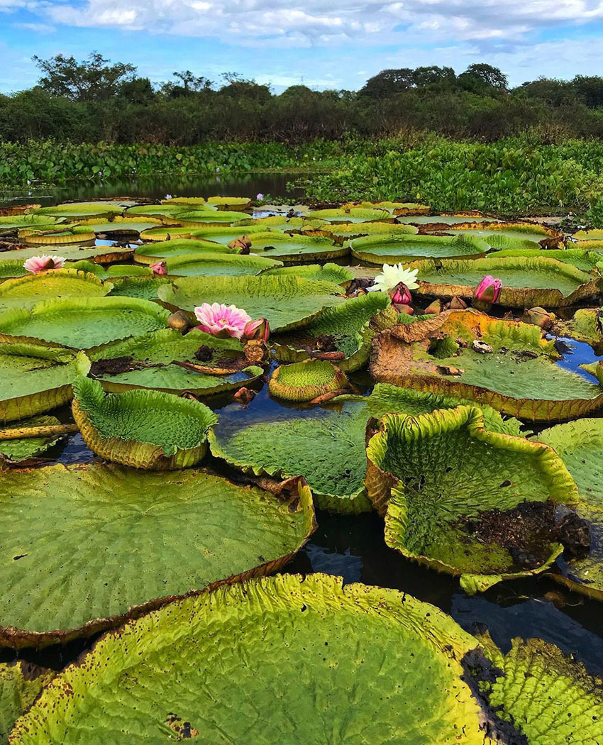 Достопримечательности Парагвая, 10 самых интересных мест