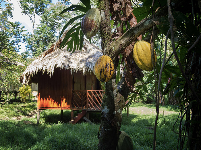 Индейцы Панамы