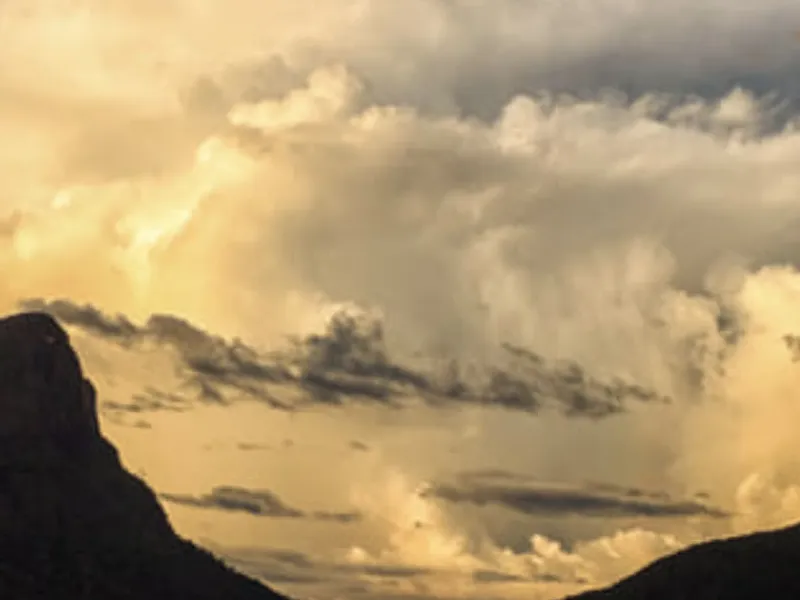 Легенды Венесуэлы. Серро Аутана — амазонское Дерево Жизни.