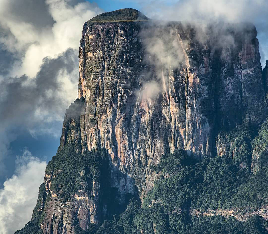 Легенды Венесуэлы. Серро Аутана — амазонское Дерево Жизни.