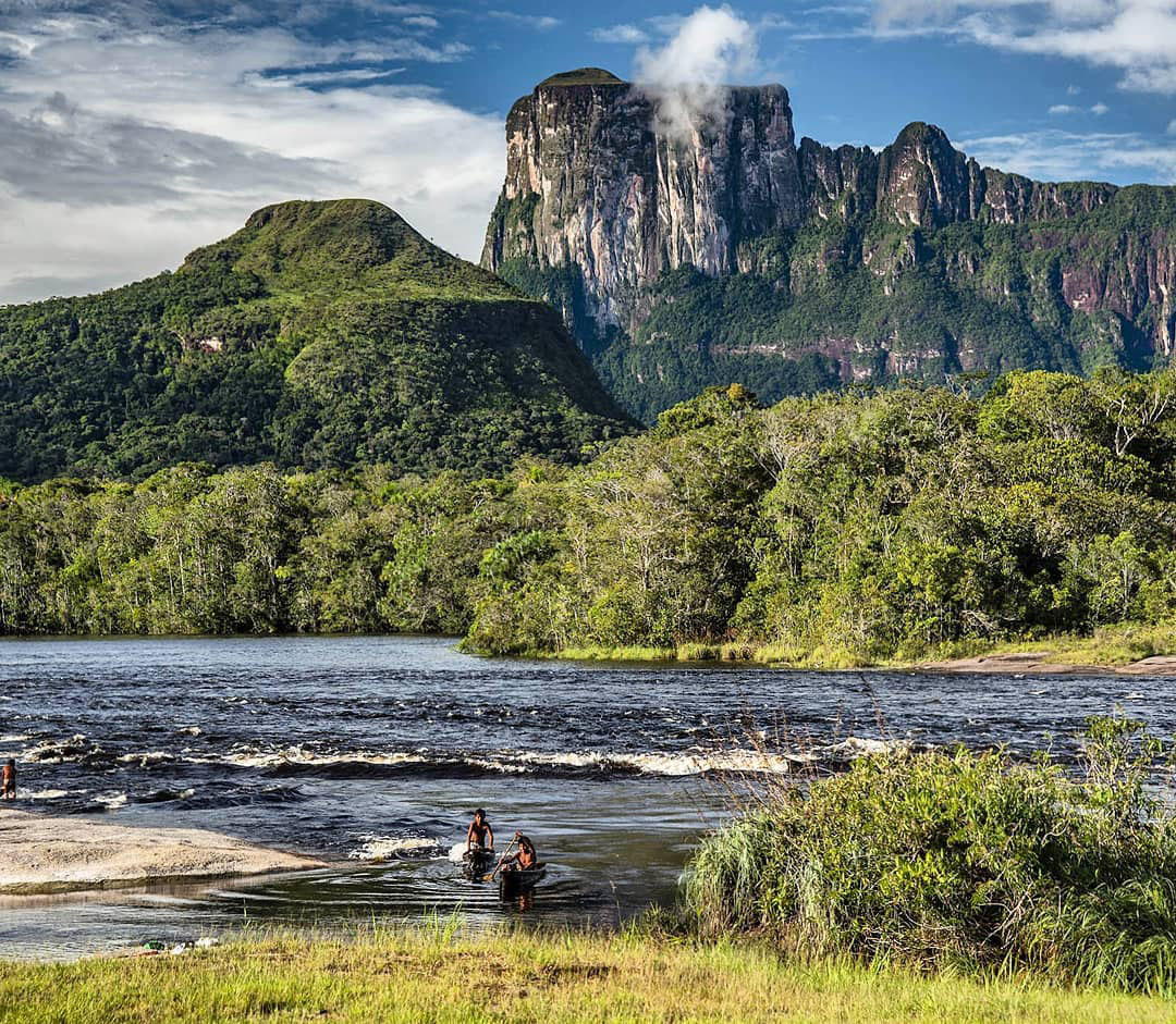 Легенды Венесуэлы. Серро Аутана — амазонское Дерево Жизни.