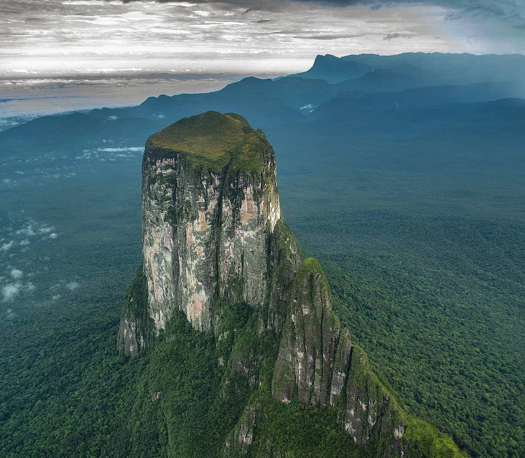 Легенды Венесуэлы. Серро Аутана — амазонское Дерево Жизни.