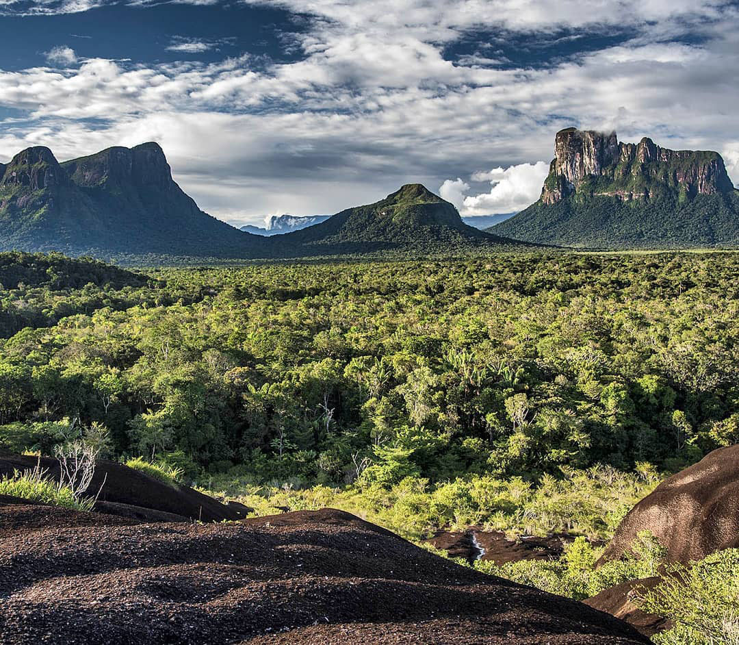 Легенды Венесуэлы. Серро Аутана — амазонское Дерево Жизни.