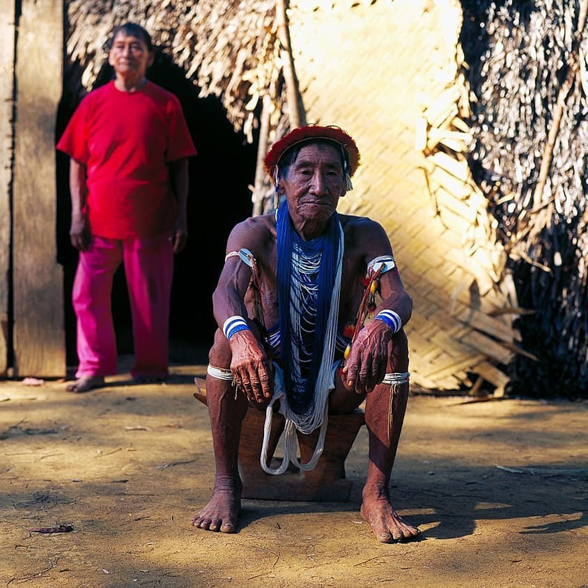 Легенды Венесуэлы. Серро Аутана — амазонское Дерево Жизни.