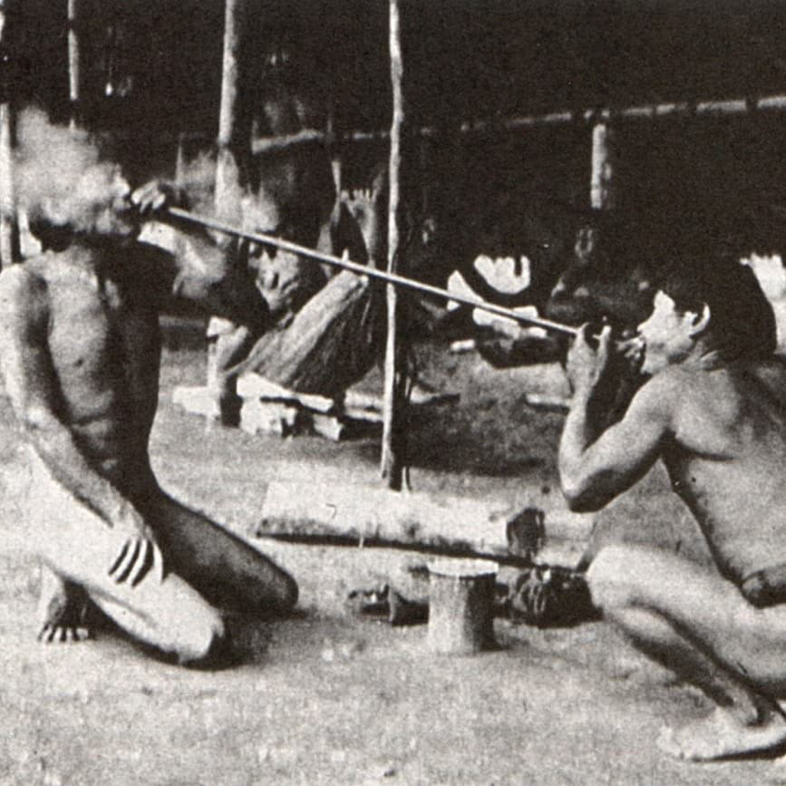 Легенды Венесуэлы. Серро Аутана — амазонское Дерево Жизни.