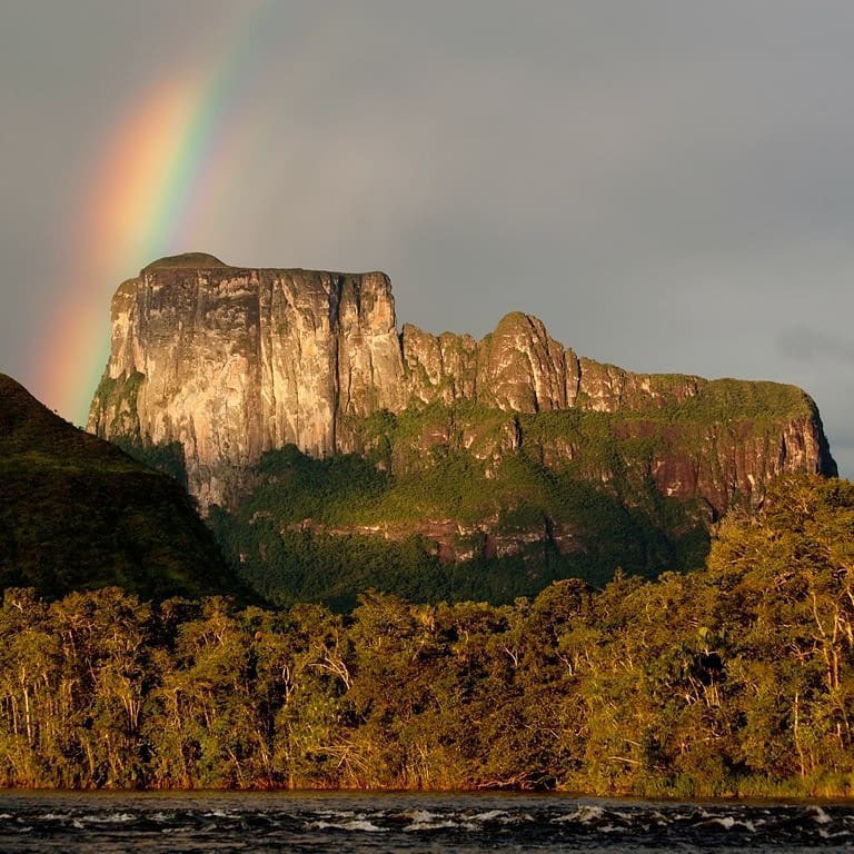 Легенды Венесуэлы. Серро Аутана — амазонское Дерево Жизни.