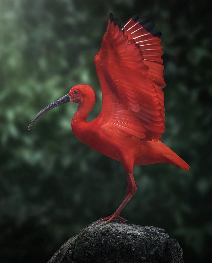 Национальный парк Моррокой и его пляжи, Венесуэла