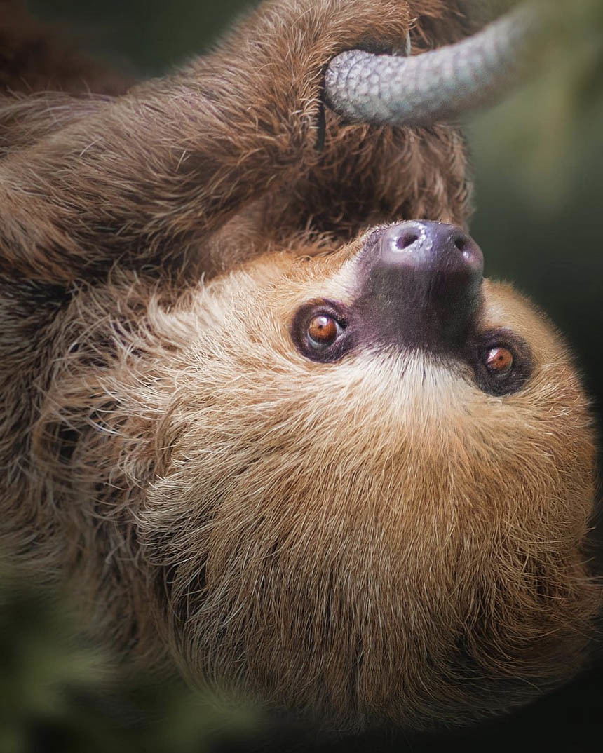 Национальный парк Моррокой и его пляжи, Венесуэла