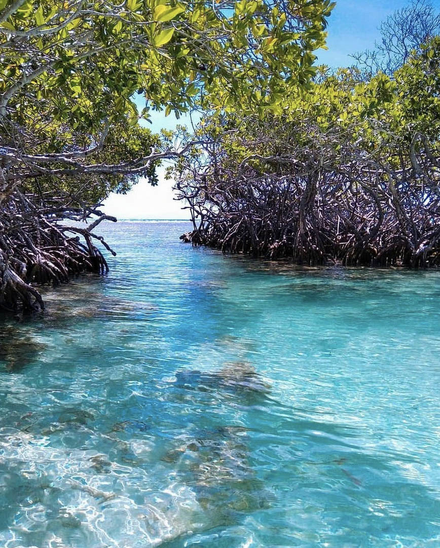 Национальный парк Моррокой и его пляжи, Венесуэла