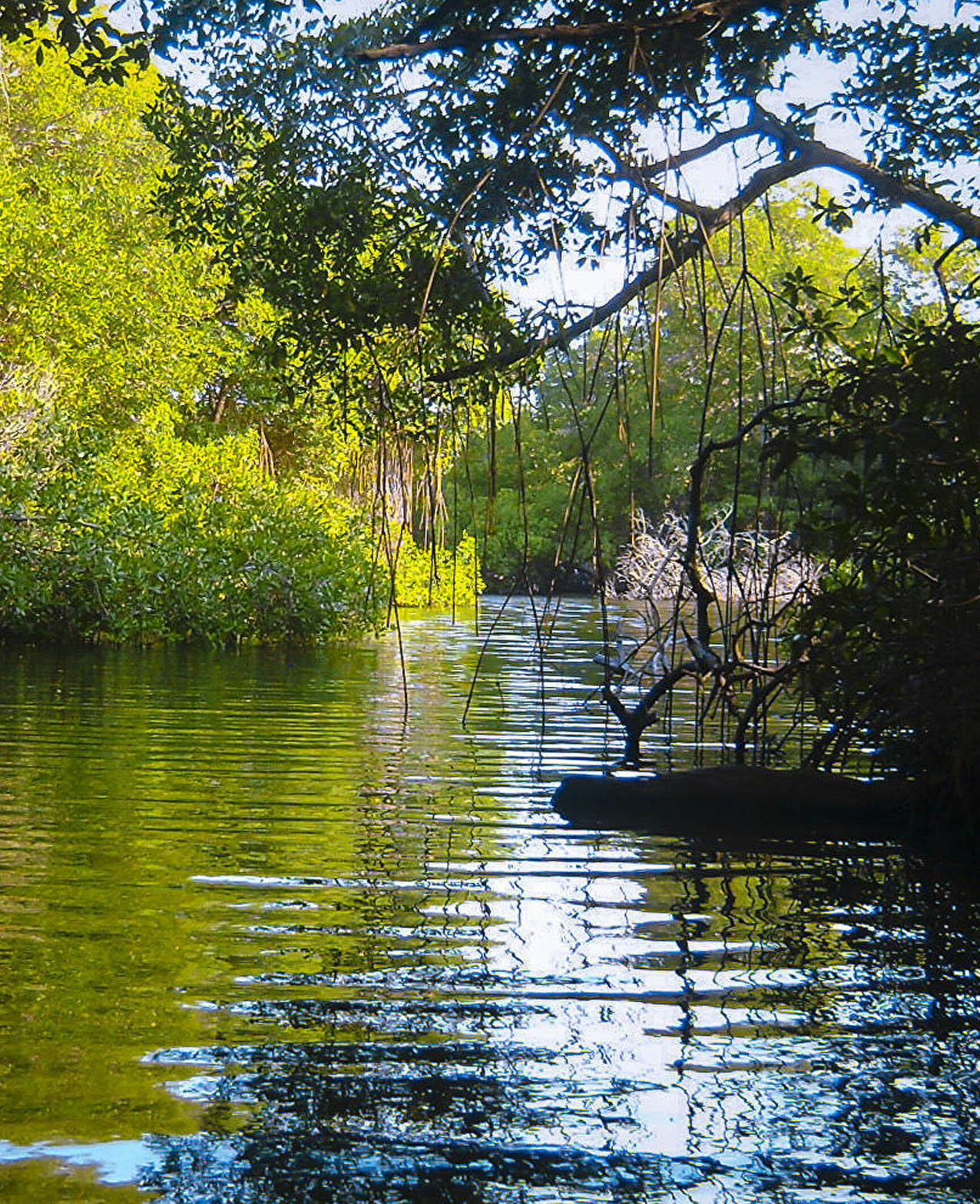 Национальный парк Моррокой и его пляжи, Венесуэла