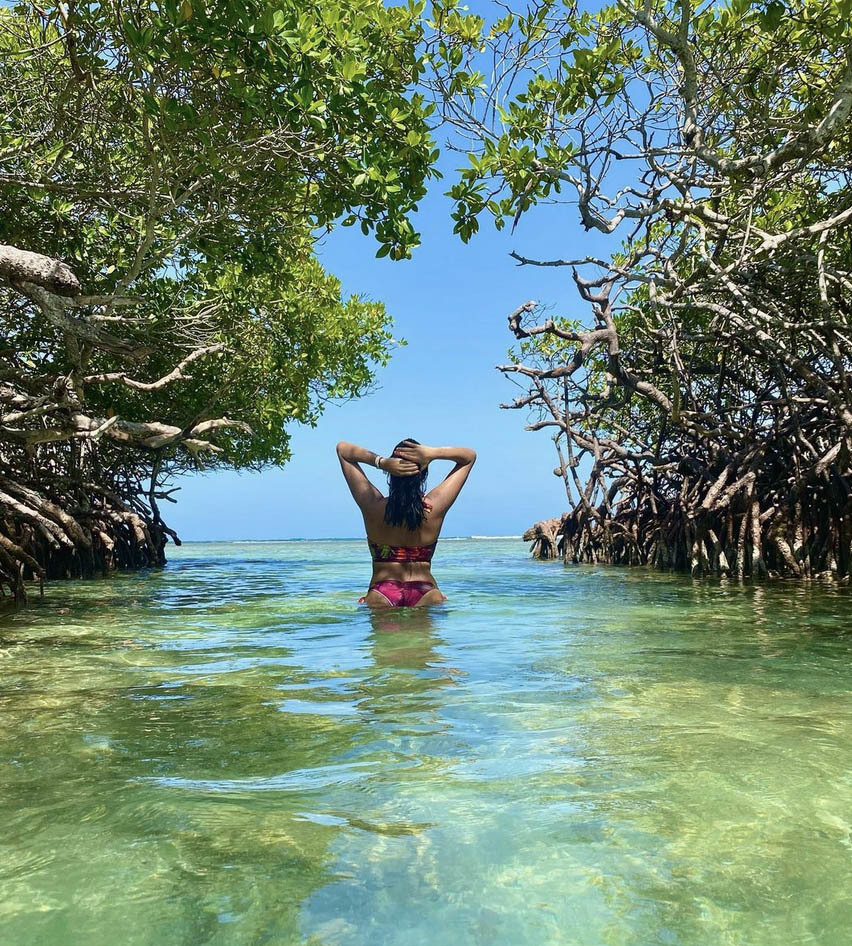 Национальный парк Моррокой и его пляжи, Венесуэла