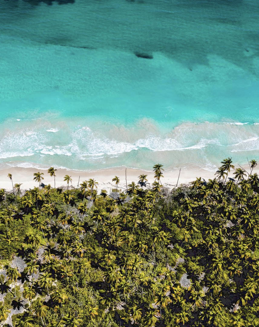 Национальный парк Моррокой и его пляжи, Венесуэла