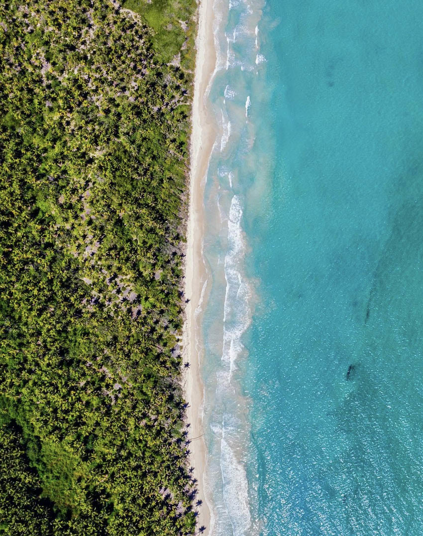 Национальный парк Моррокой и его пляжи, Венесуэла