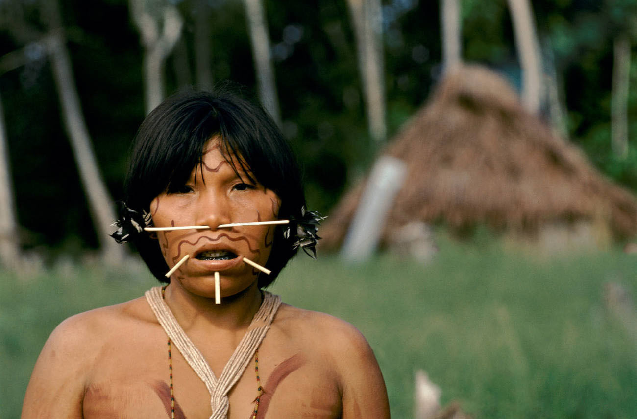 Самый большой Национальный Парк Венесуэлы Парима Тапирапеко