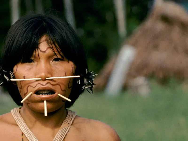 Самый большой Национальный Парк Венесуэлы Парима Тапирапеко