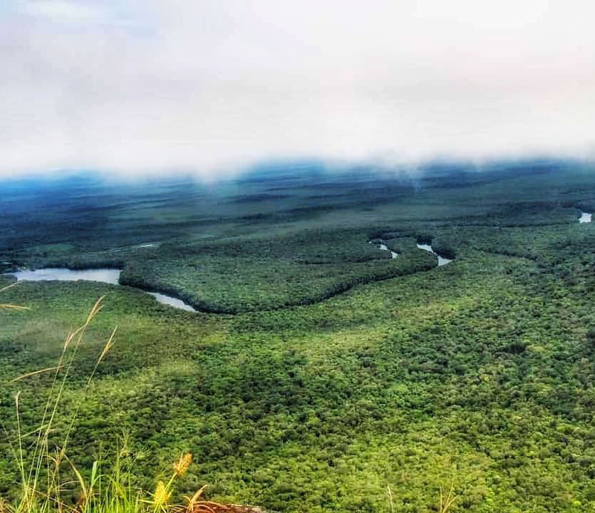 Самый большой Национальный Парк Венесуэлы Парима Тапирапеко