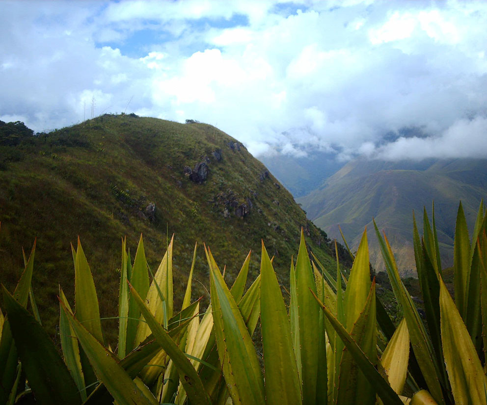 Самый большой Национальный Парк Венесуэлы Парима Тапирапеко