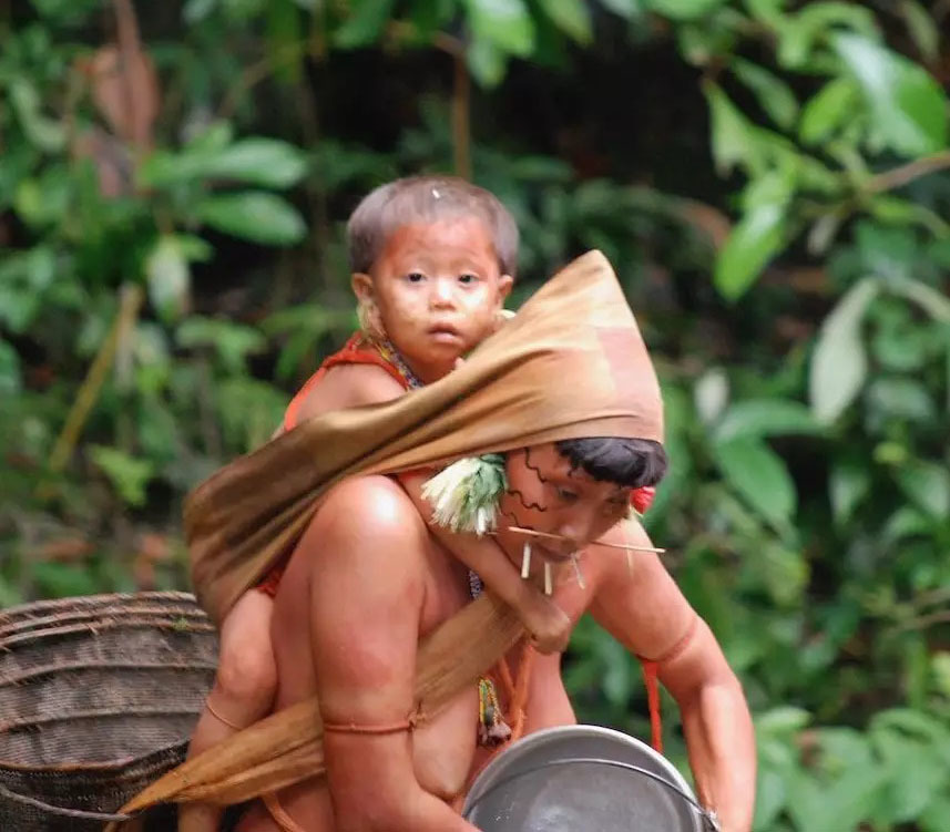 Самый большой Национальный Парк Венесуэлы Парима Тапирапеко