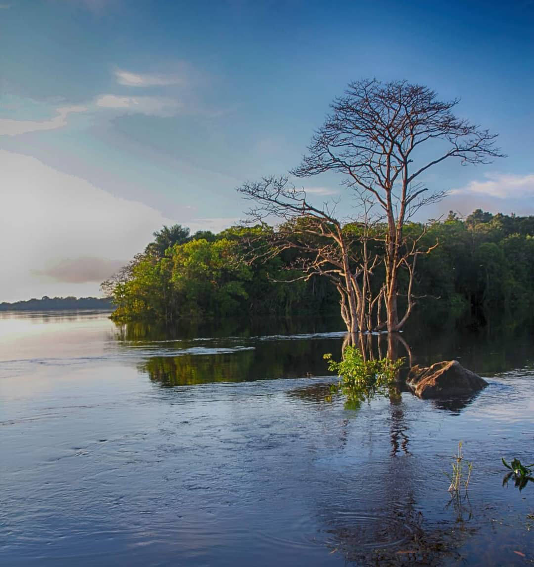 Самый большой Национальный Парк Венесуэлы Парима Тапирапеко