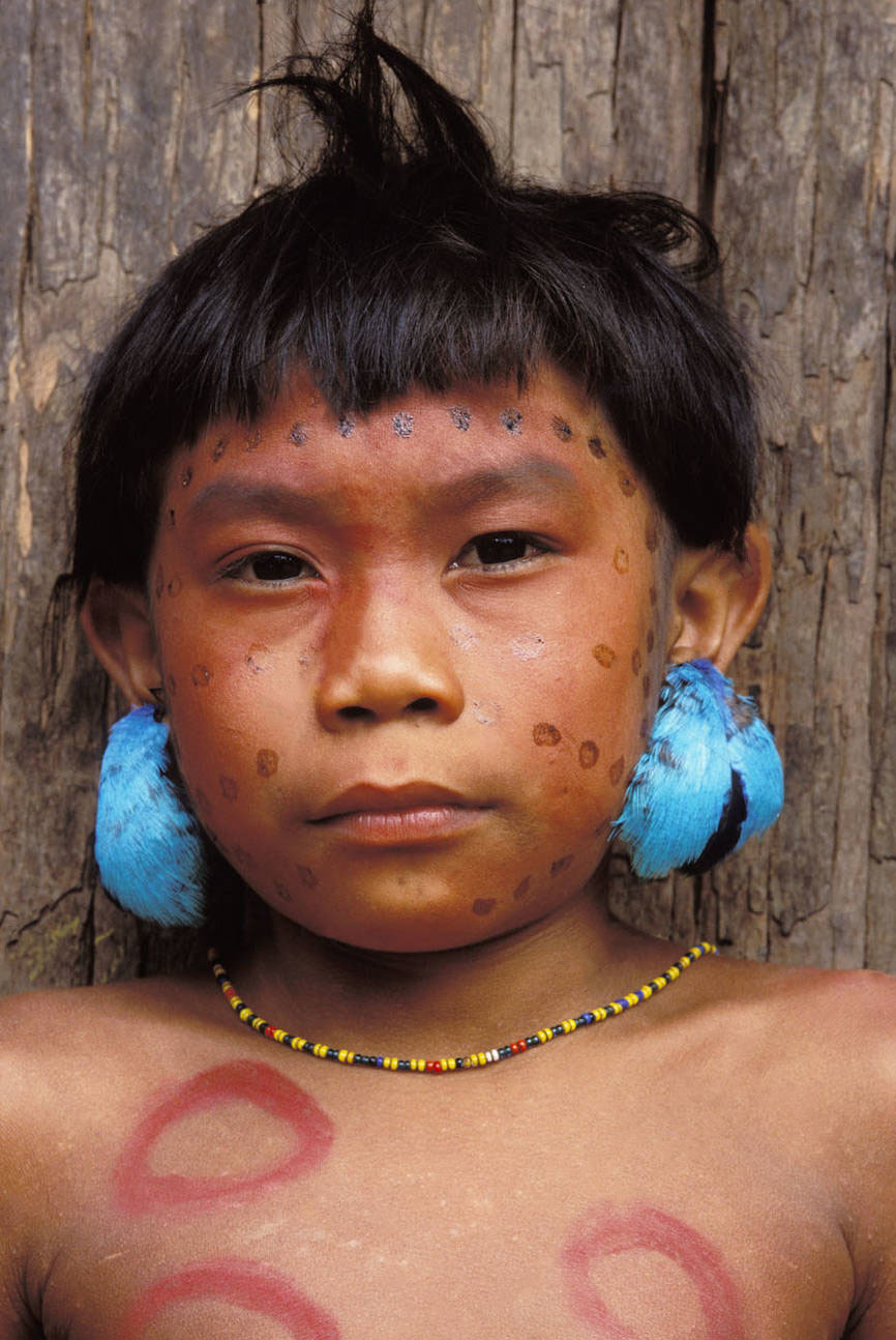 Самый большой Национальный Парк Венесуэлы Парима Тапирапеко