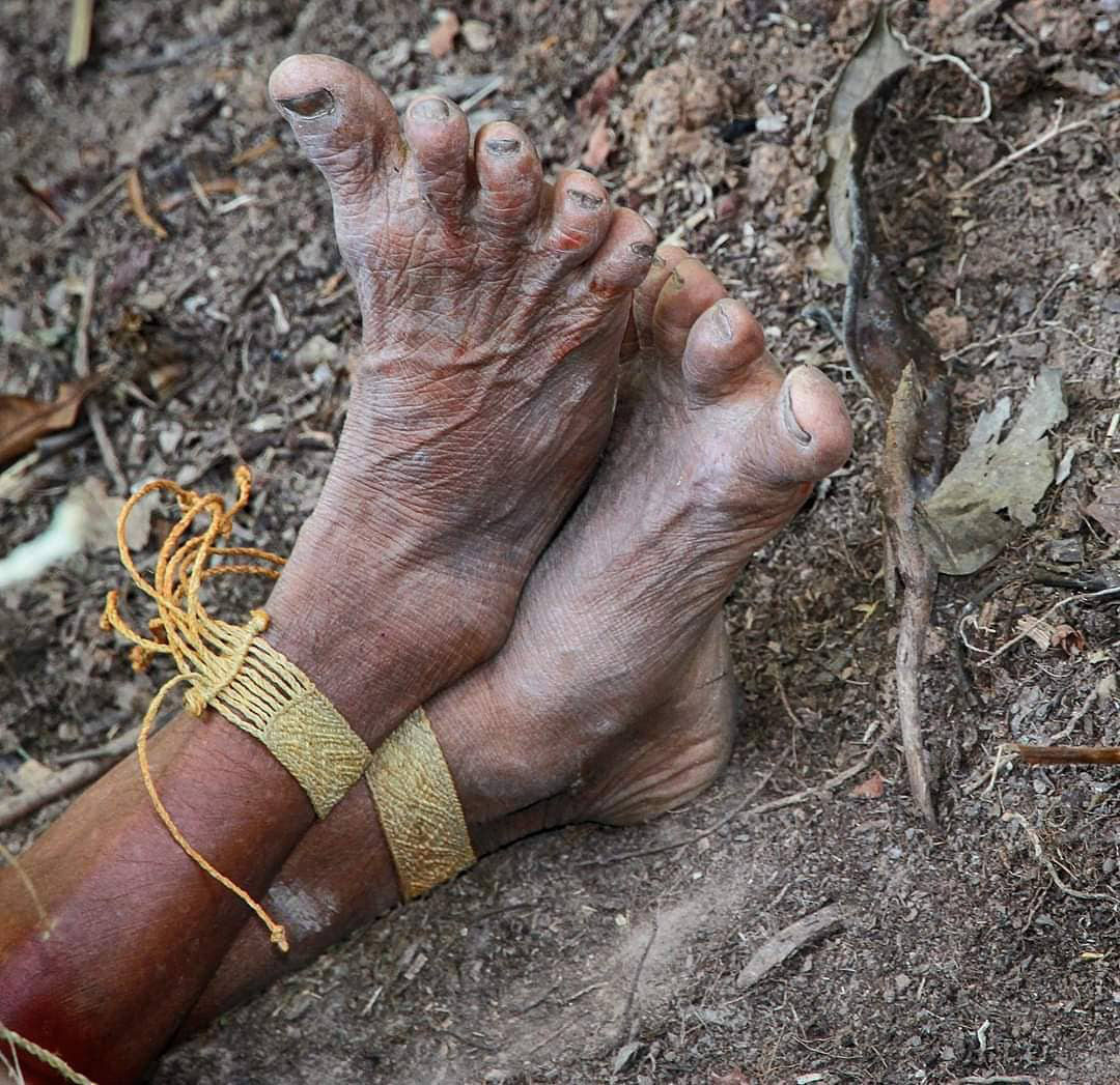 Самый большой Национальный Парк Венесуэлы Парима Тапирапеко