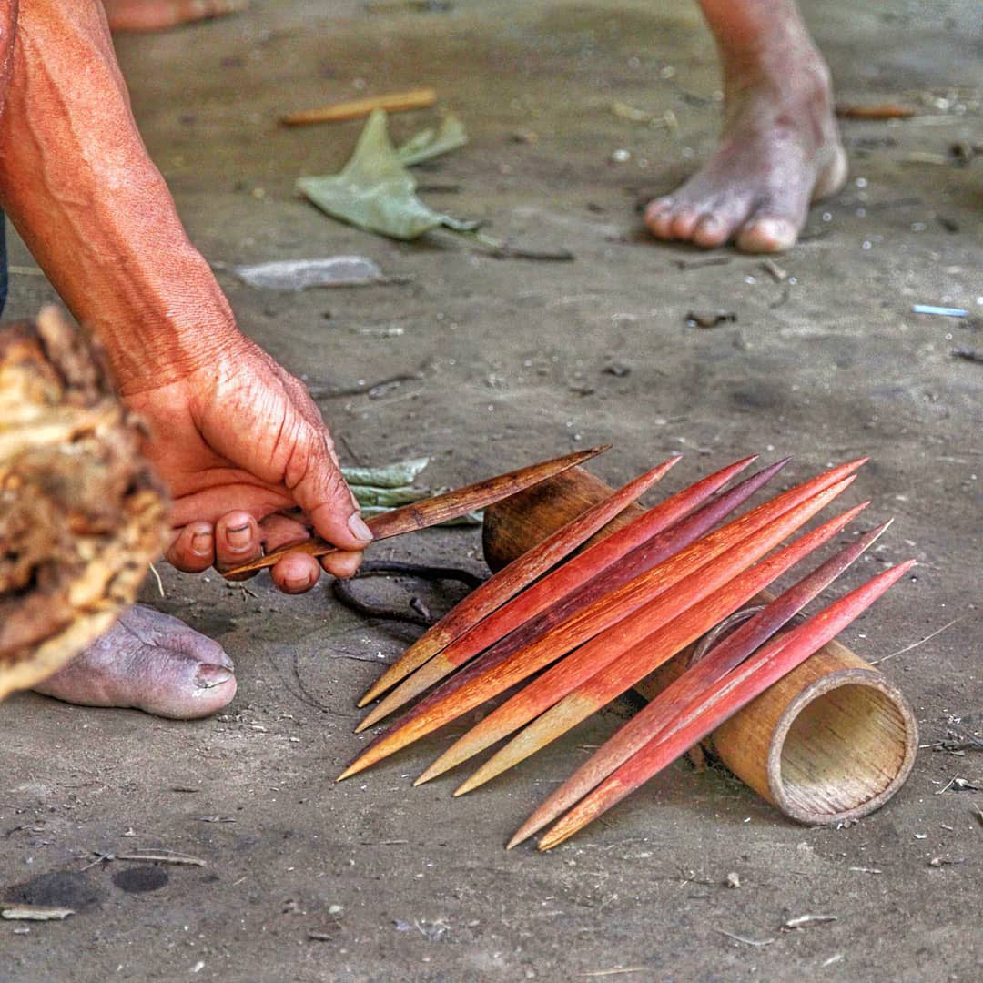 Самый большой Национальный Парк Венесуэлы Парима Тапирапеко