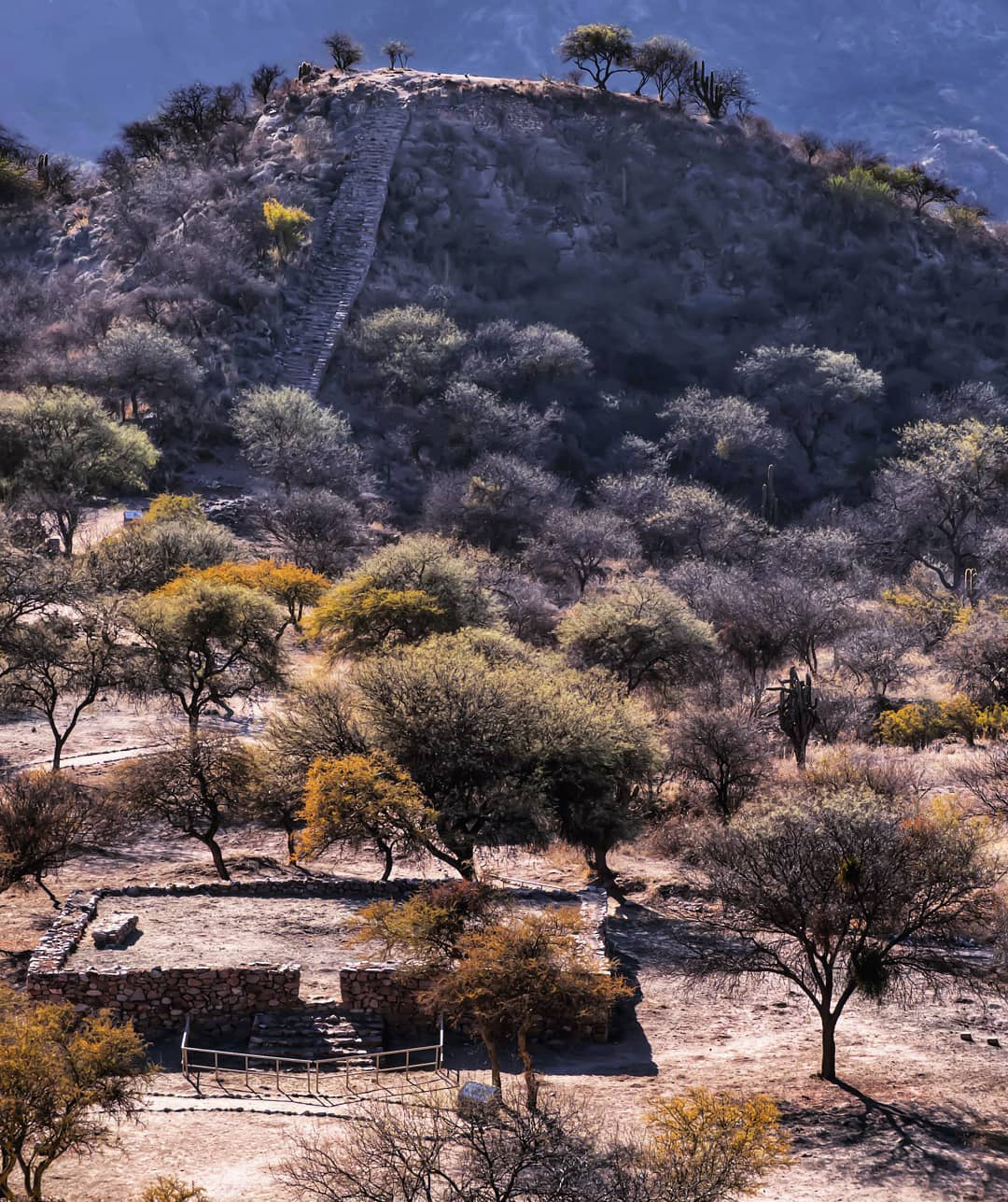 Эль Шинкаль — город славы инков в Аргентине