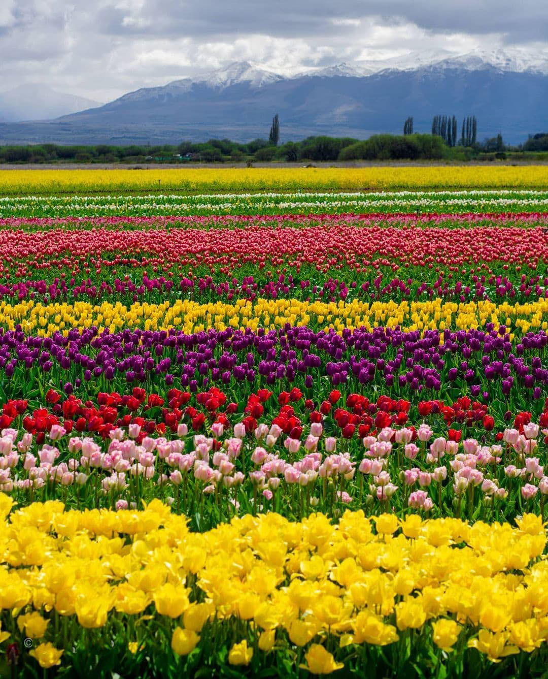 Достопримечательности Аргентины. 23 самых красивых места Аргентины