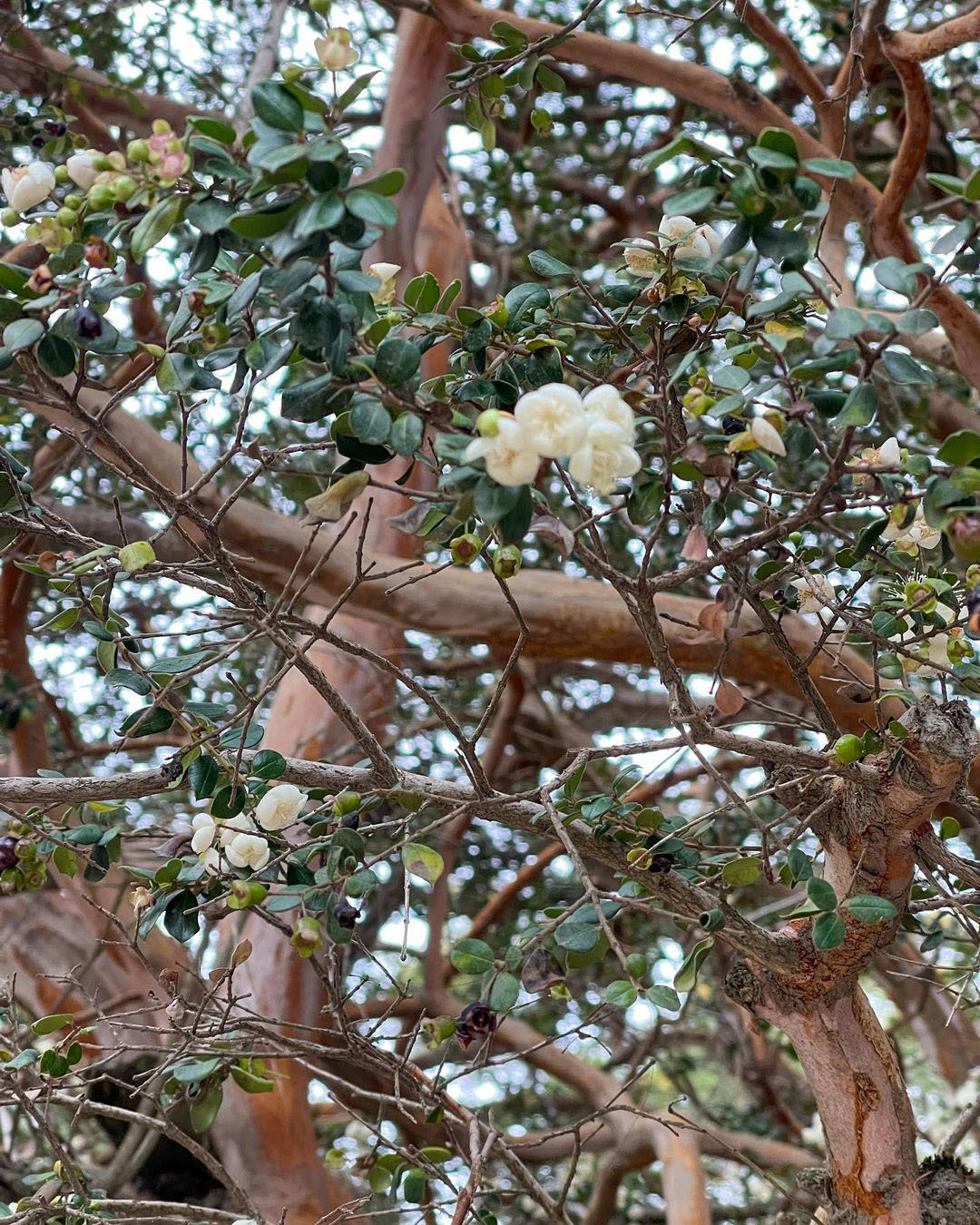Достопримечательности Аргентины. 23 самых красивых места Аргентины