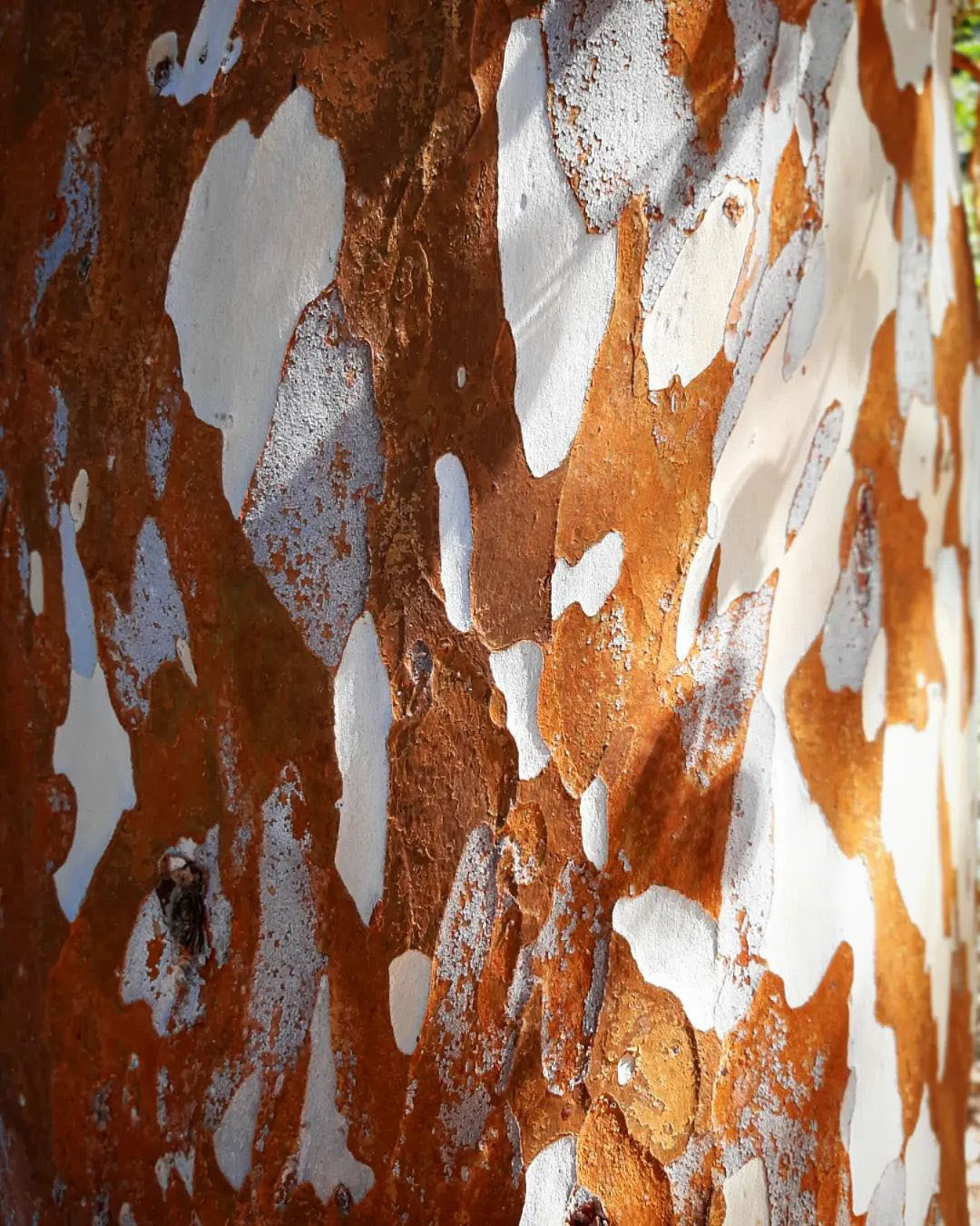 Достопримечательности Аргентины. 23 самых красивых места Аргентины