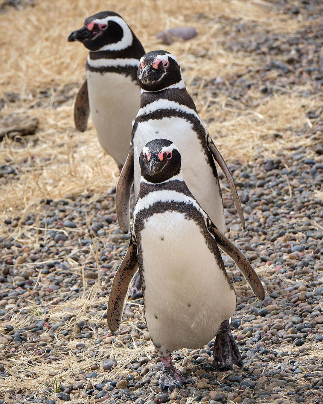 Достопримечательности Аргентины. 23 самых красивых места Аргентины