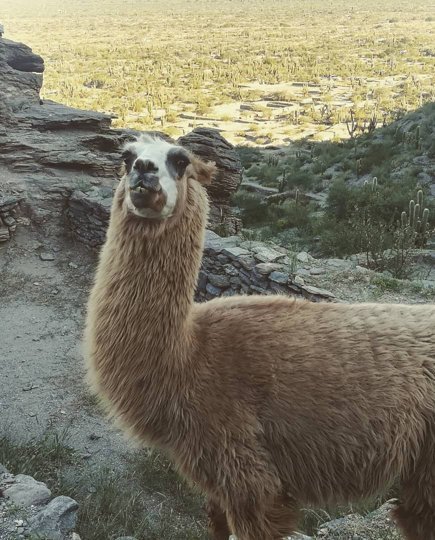 Достопримечательности Аргентины. 23 самых красивых места Аргентины