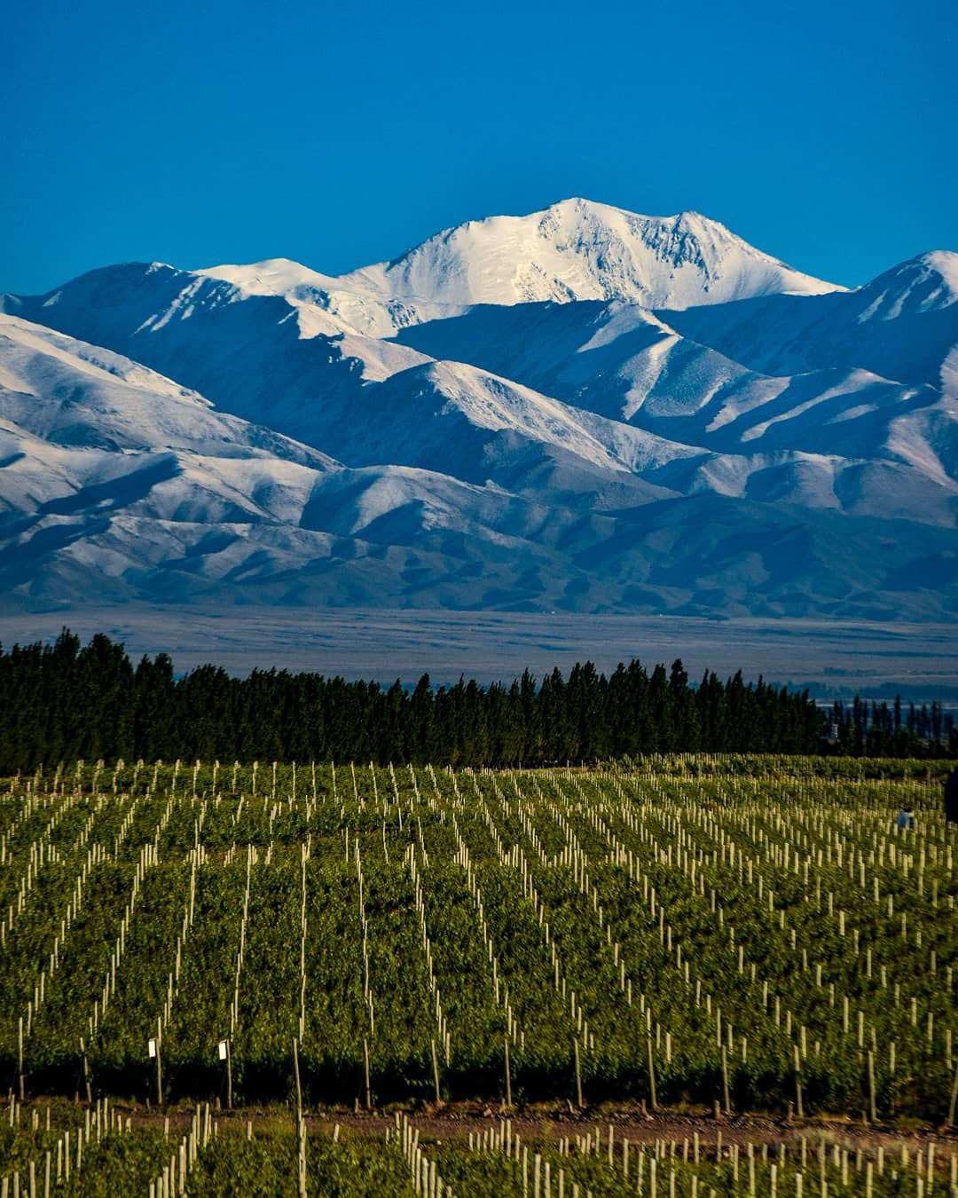 Достопримечательности Аргентины. 23 самых красивых места Аргентины