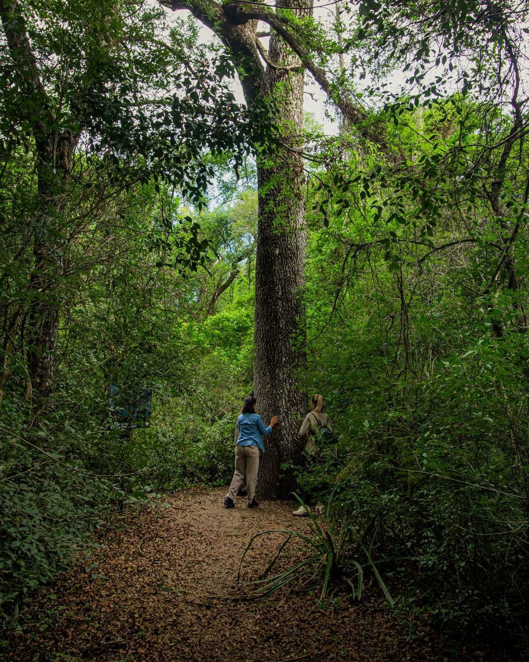 Достопримечательности Аргентины. 23 самых красивых места Аргентины
