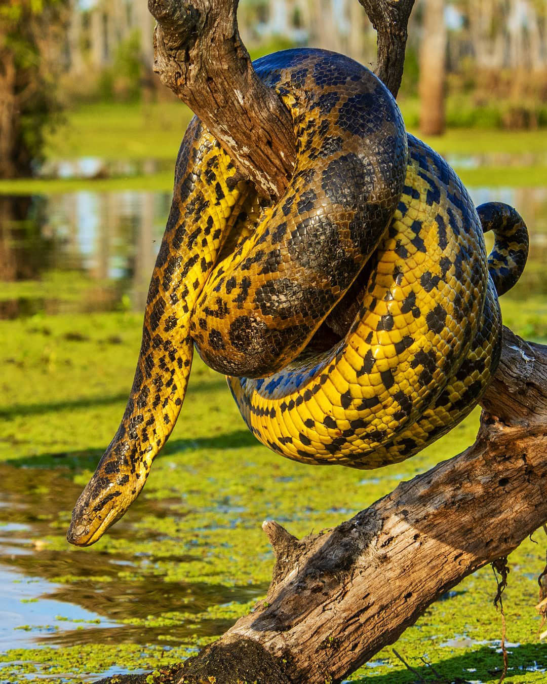 Достопримечательности Аргентины. 23 самых красивых места Аргентины
