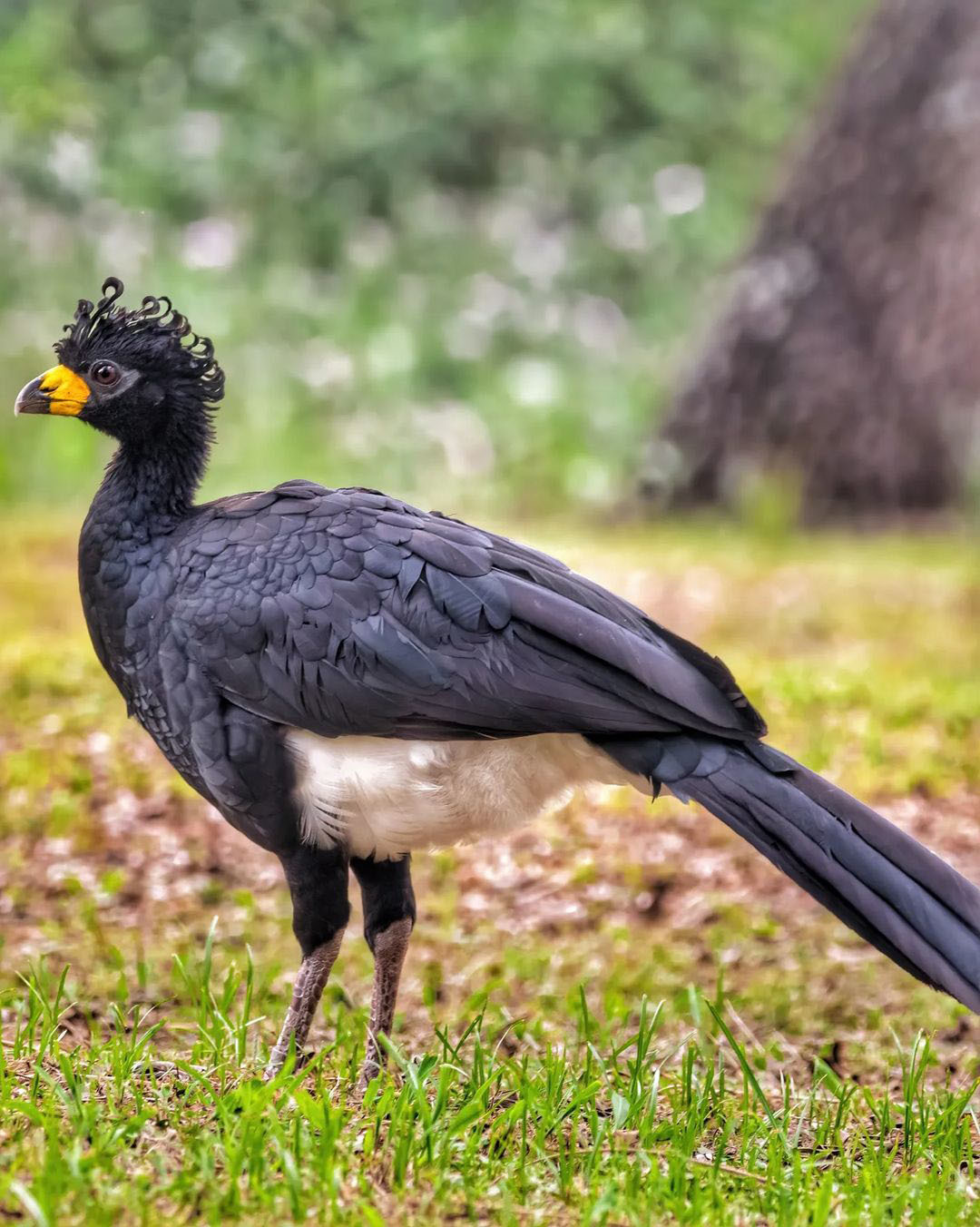 Достопримечательности Аргентины. 23 самых красивых места Аргентины