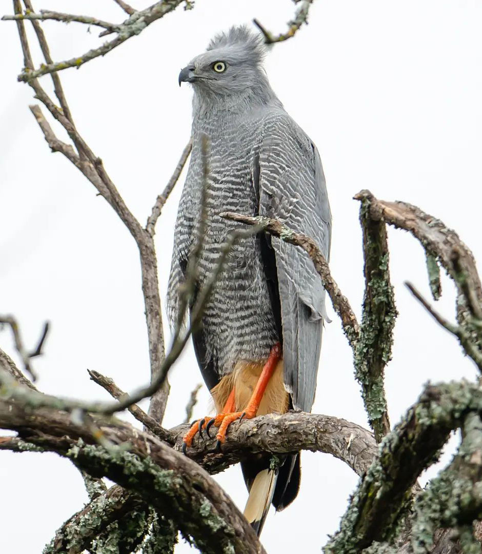 Достопримечательности Аргентины. 23 самых красивых места Аргентины