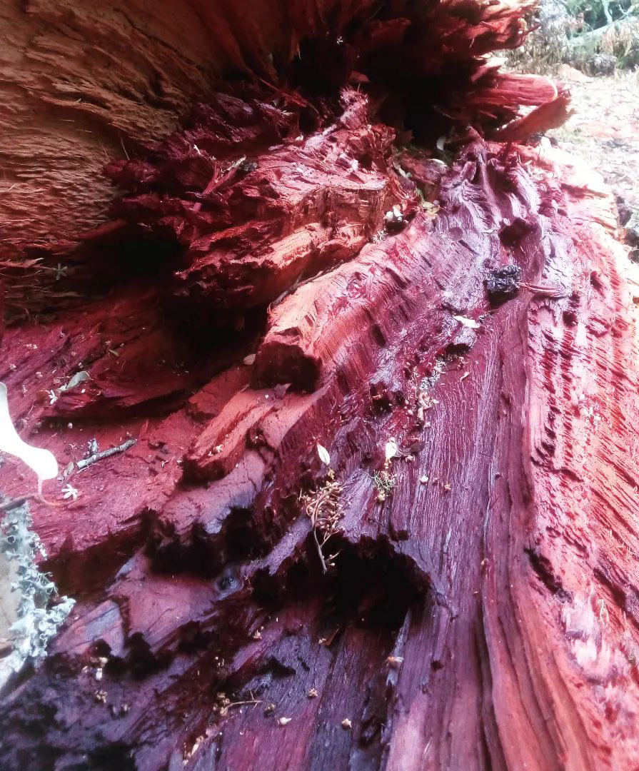 Достопримечательности Аргентины. 23 самых красивых места Аргентины