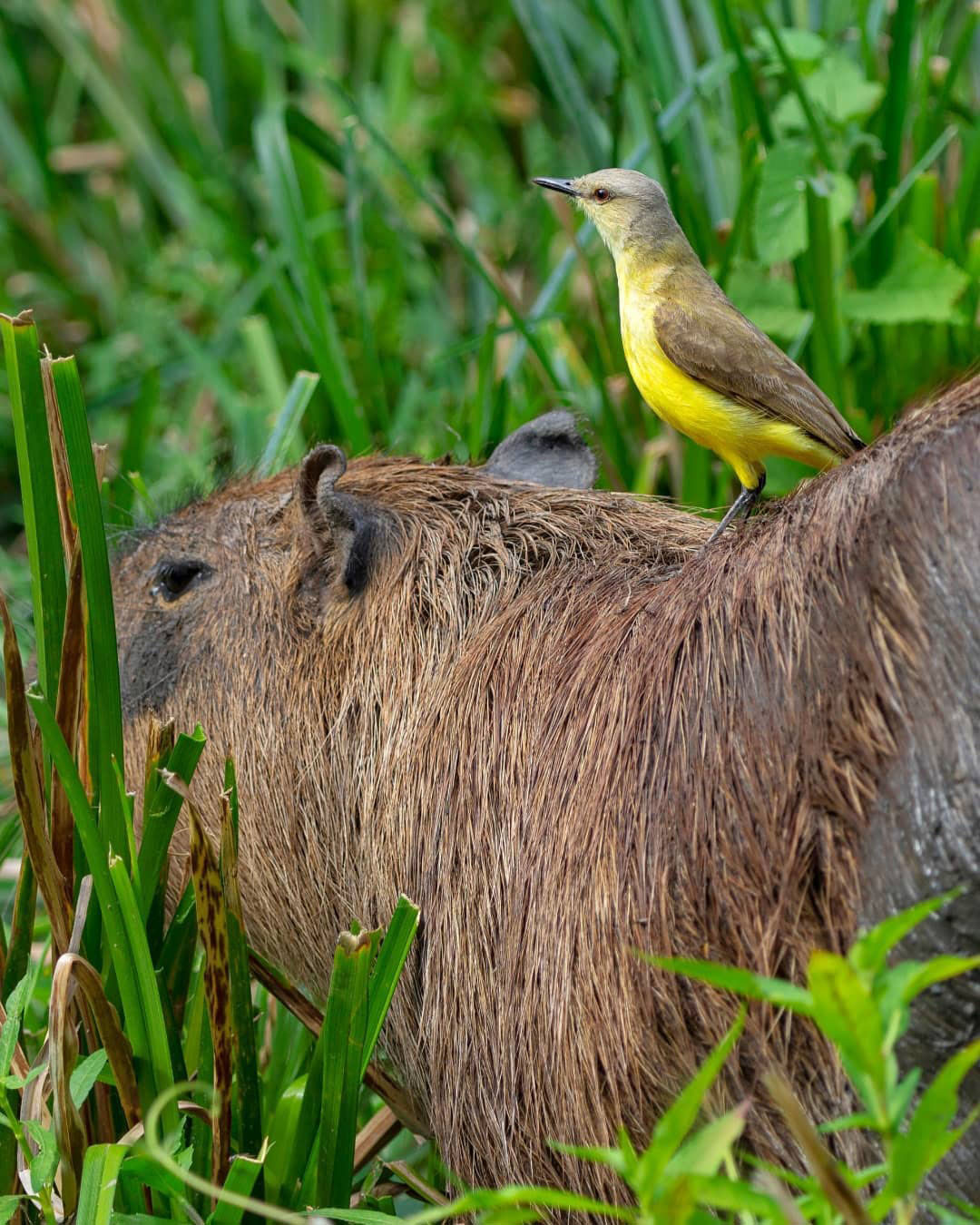 Достопримечательности Аргентины. 23 самых красивых места Аргентины
