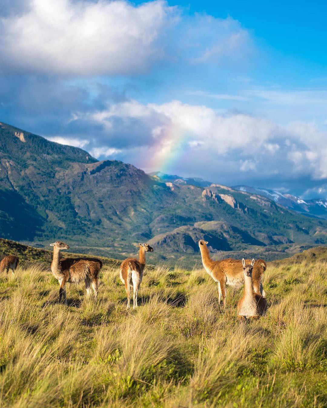 Достопримечательности Аргентины. 23 самых красивых места Аргентины