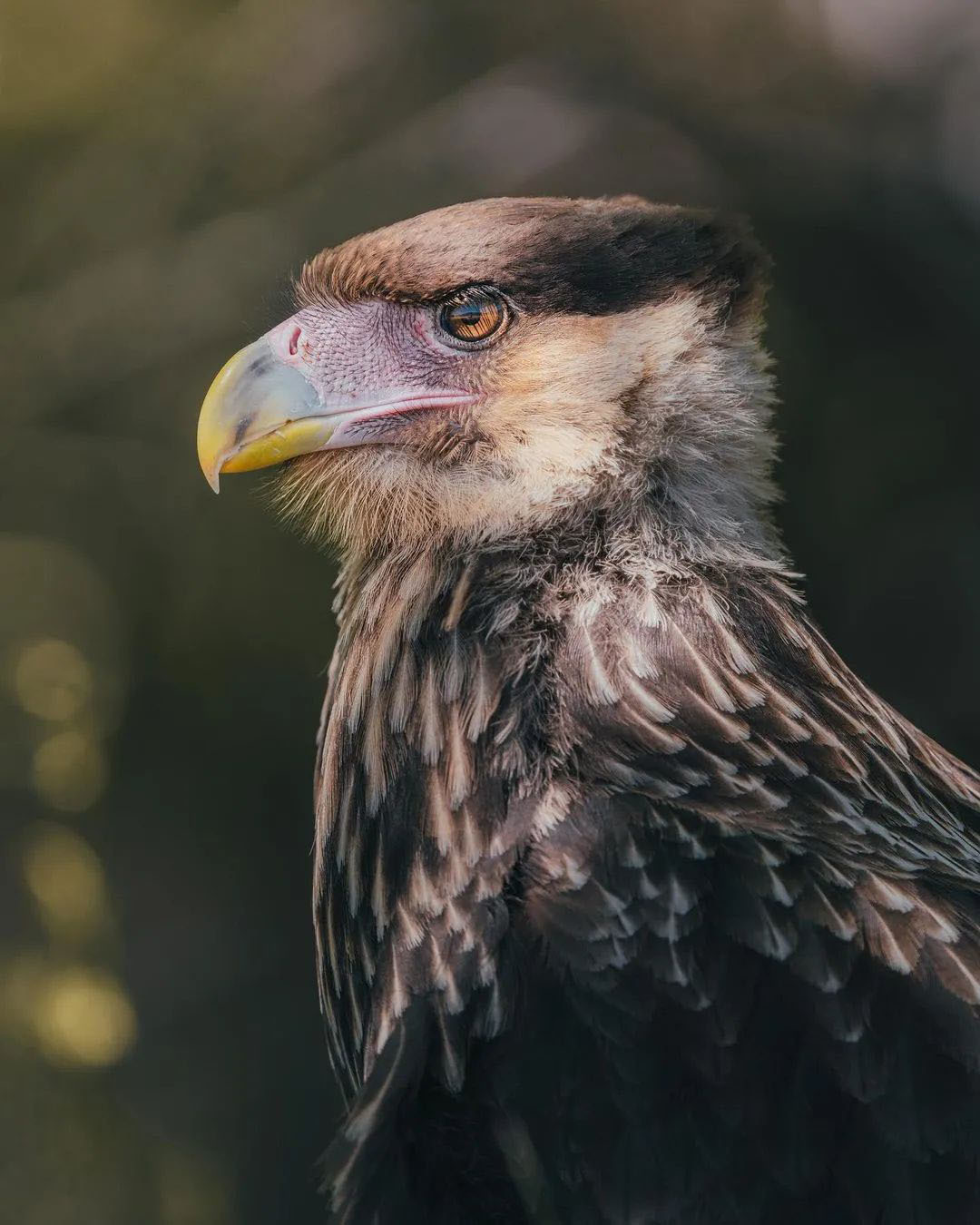 Достопримечательности Аргентины. 23 самых красивых места Аргентины